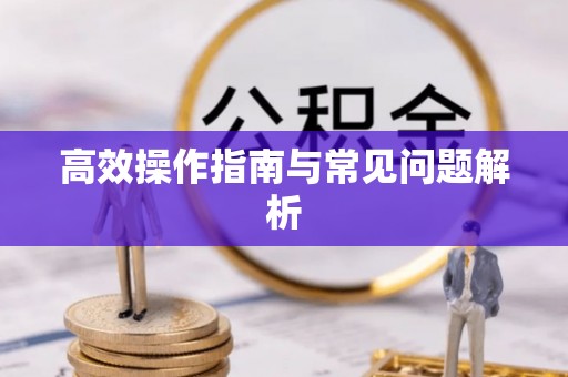 曲江高效操作指南与常见问题解析