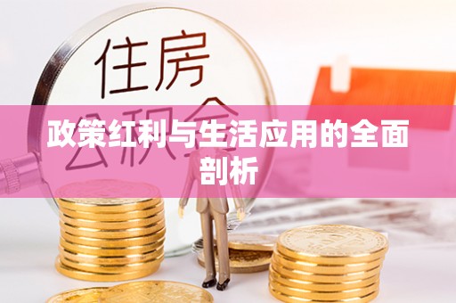 曲江政策红利与生活应用的全面剖析