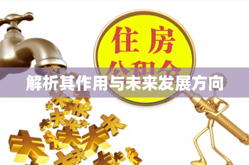 曲江解析其作用与未来发展方向
